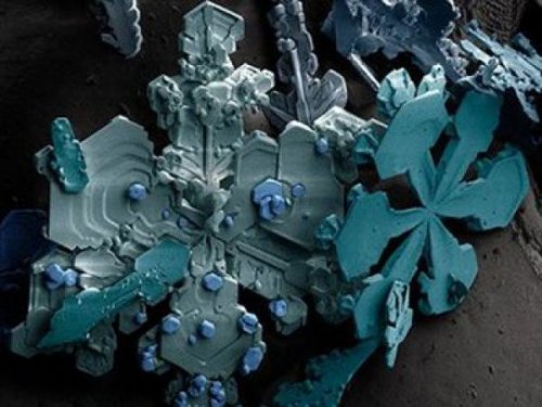 Макрофотографии обычных вещей (29 шт)