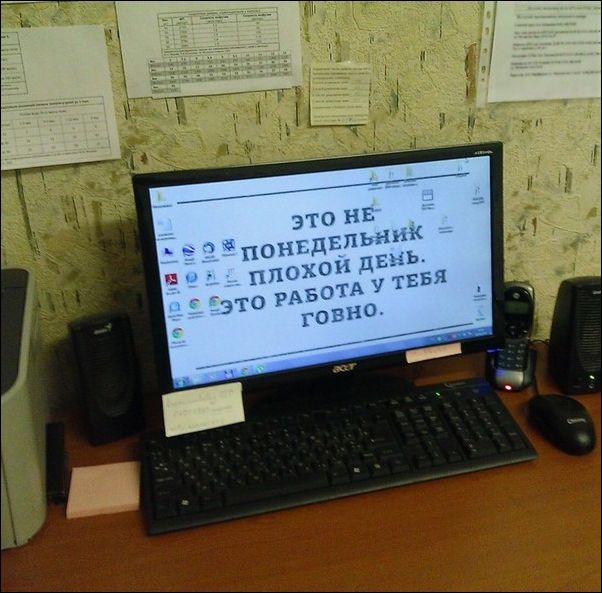Новые народные перлы