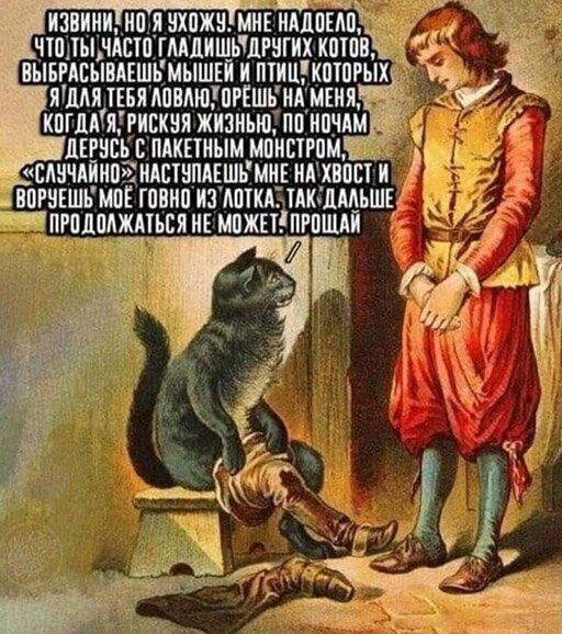 Весёлые позитивные моменты
