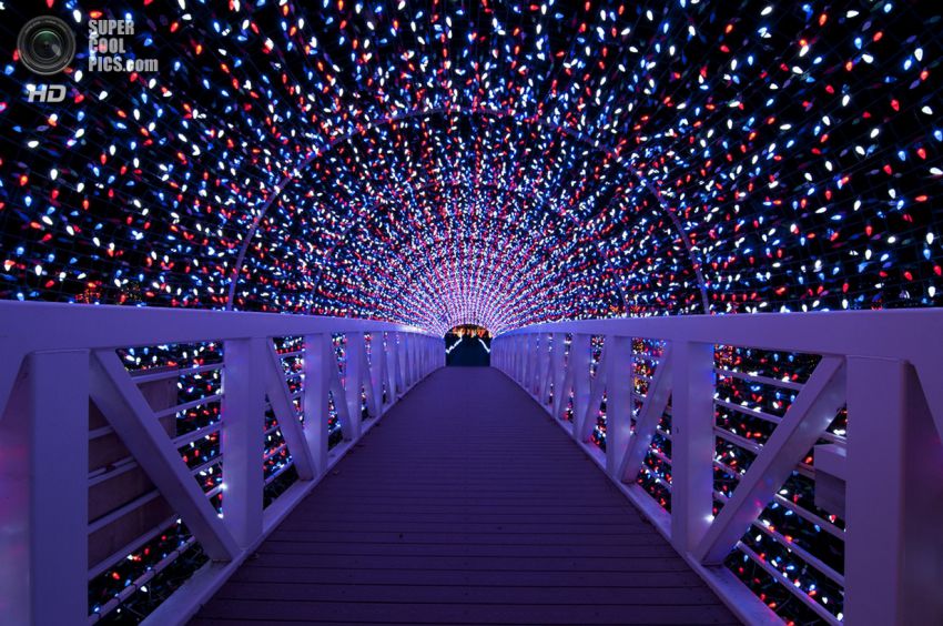 Праздник, Фото, Красиво