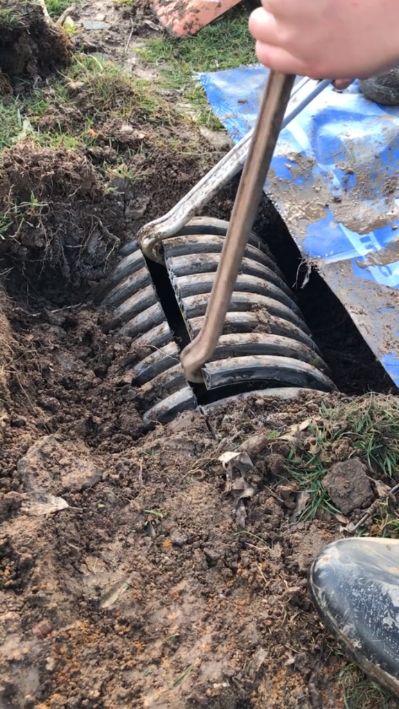 Две девочки гуляли по ферме и вдруг услышали плач из-под земли Две девочки гуляли по ферме и вдруг услышали плач из-под земли