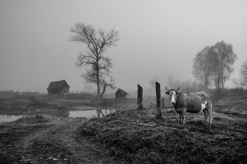 Блог - 15 лучших российских фотографий, сделанных за весь 2016 год 15 лучших российских фотографий, сделанных за весь 2016 год