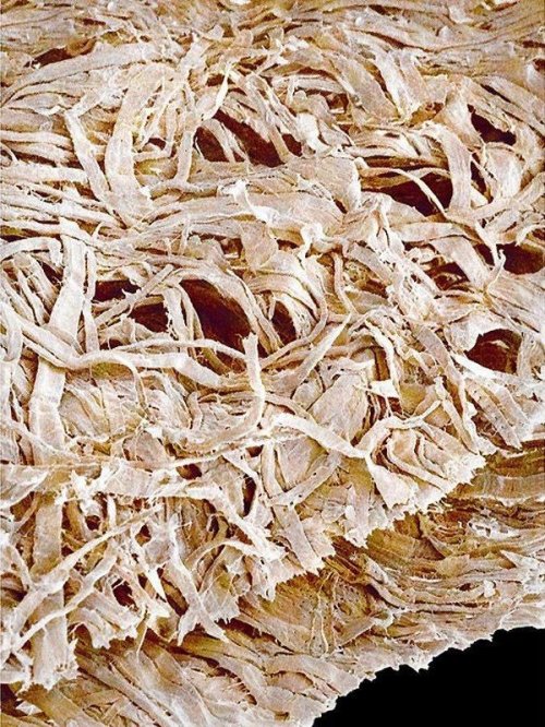 Макрофотографии обычных вещей (29 шт)