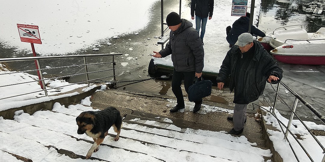 Собака ушла со своим спасителем. Фото: Леонид Карпов
