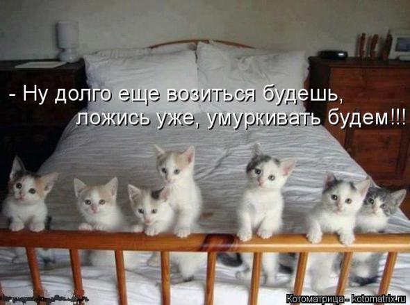 �����������(�������� � ���������)