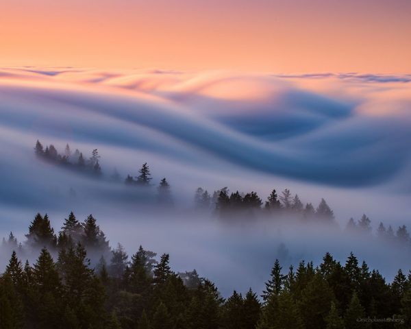 фотография фотография