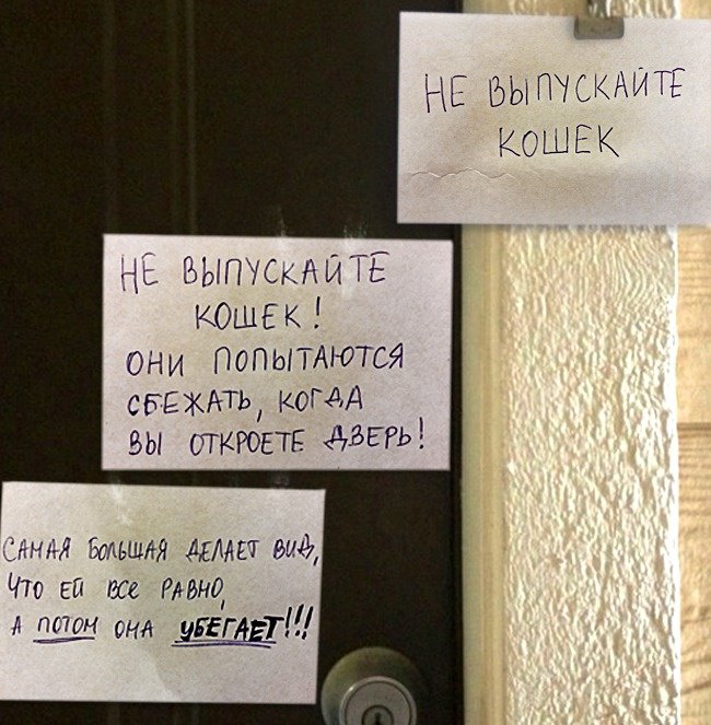 Когда сосед с чувством юмора Когда сосед с чувством юмора