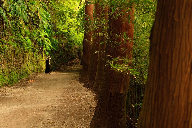 Азорские острова - места нетронутой природы