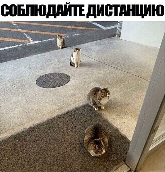 Весёлые позитивные моменты