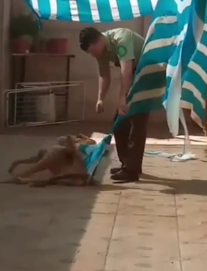 пес и полицейский