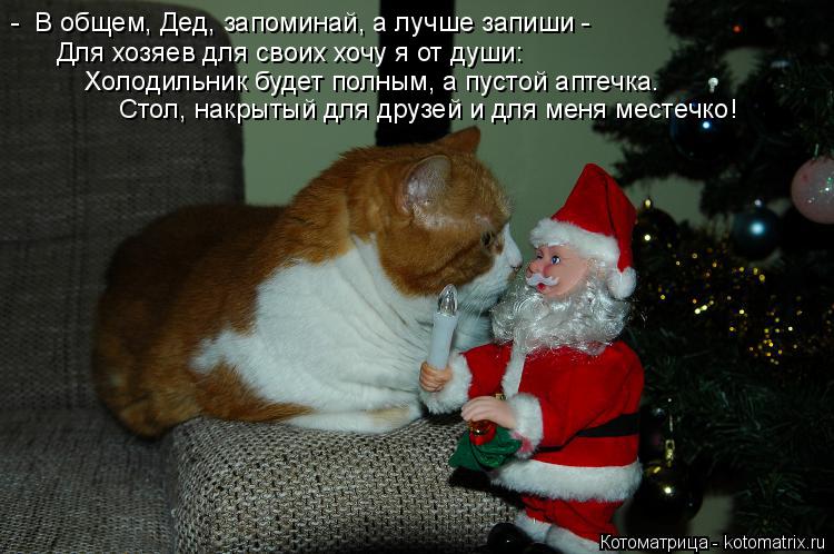 Котоматрица: -  В общем, Дед, запоминай, а лучше запиши - Для хозяев для своих хочу я от души: Холодильник будет полным, а пустой аптечка. Стол, накрытый для 