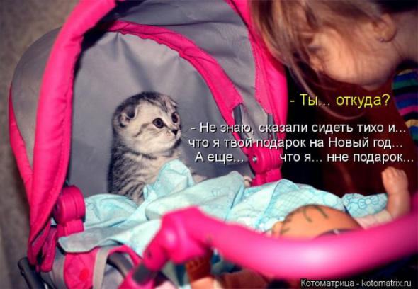 Котоматрицы (картинки с надписями)