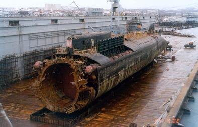 scale_1200 (1).jpg