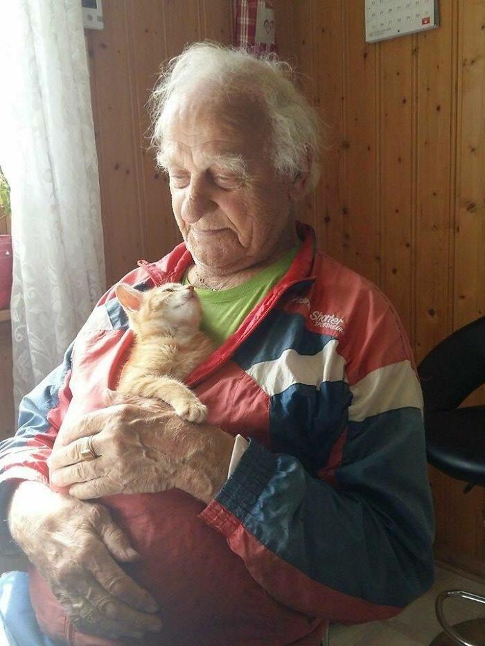 В их глазах любовь...