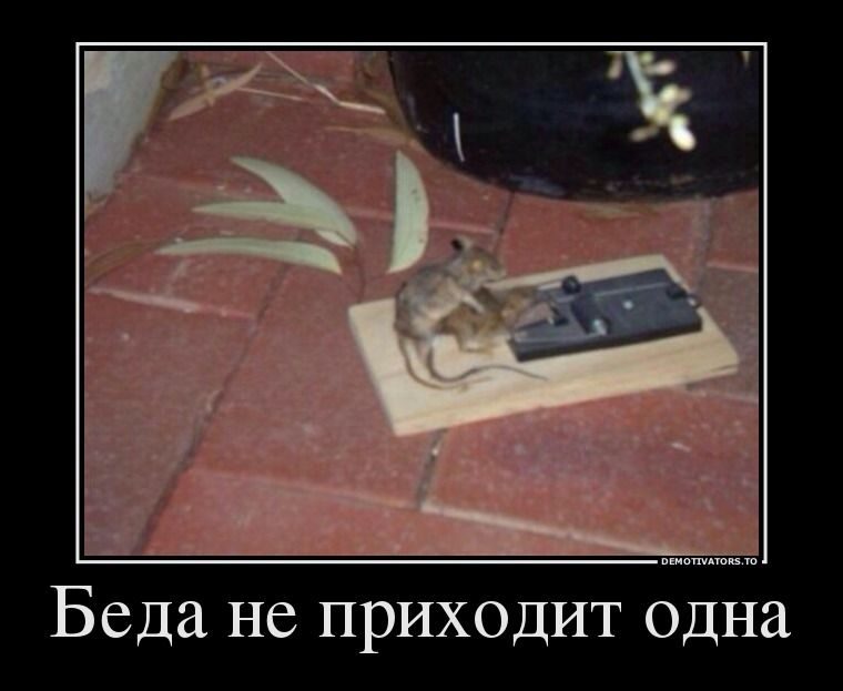 Демотиваторы.Смешные, грустные, жизненные.... Демотиваторы.Смешные, грустные, жизненные....