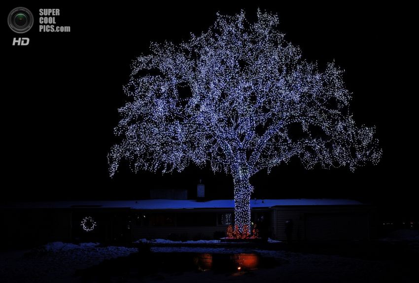 Праздник, Фото, Красиво