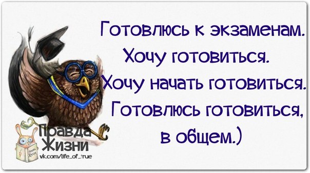 Прикольные фразочки в картинках