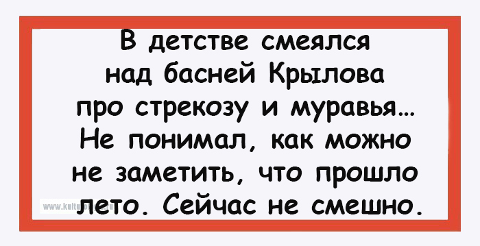 15 открыток с налётом сарказма от настоящих грамотеев 15 открыток с налётом сарказма от настоящих грамотеев