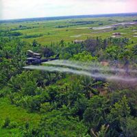 Monsanto: ГМО и контроль над численностью населения