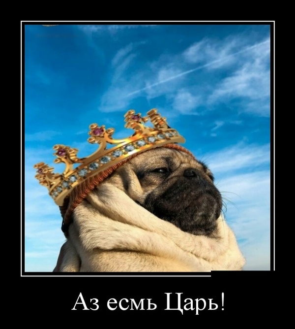 Демотиваторы Демотиваторы