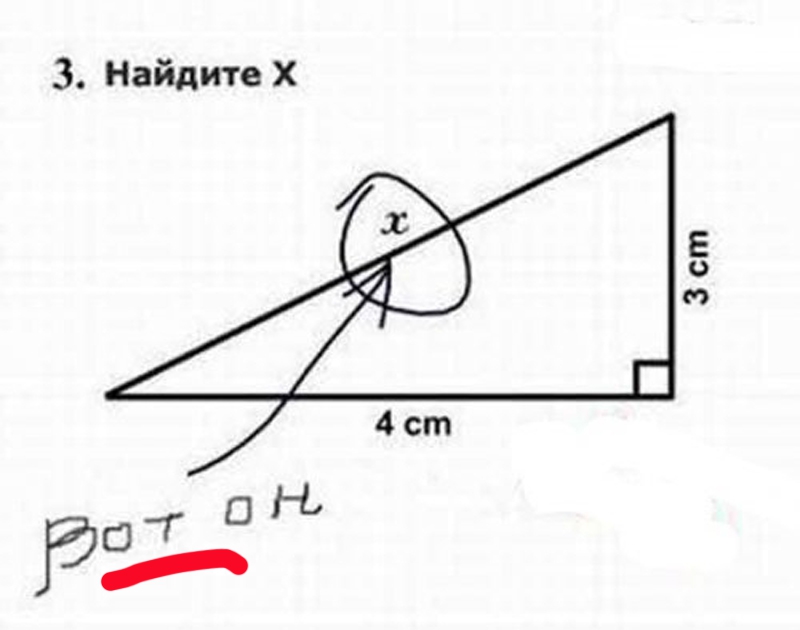 15 перлов из школьных тетрадей дети, перлы, школа