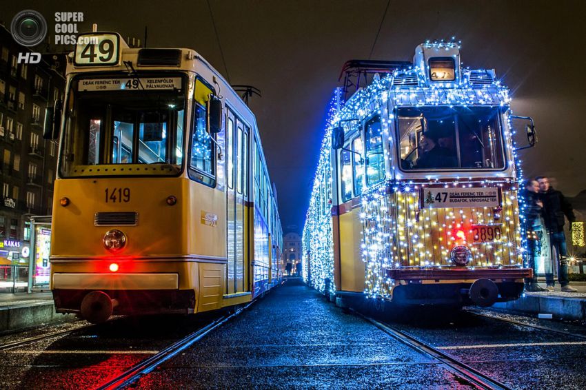 Праздник, Фото, Красиво