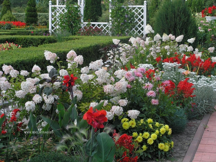 ��� ������� ����������