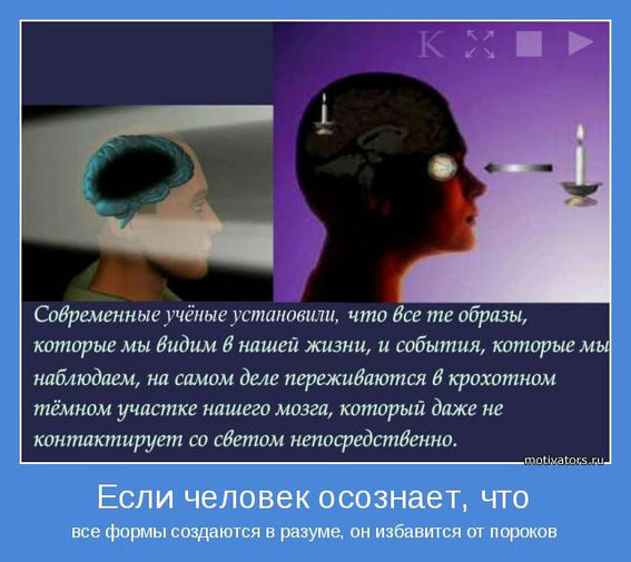 Галлюцинации: визуальные, тактильные, слуховые, обонятельные Original
