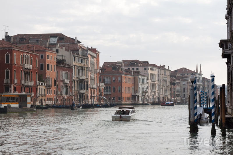 � ������������ ������ �� �����-������. �������. ������ / ���� �� ������