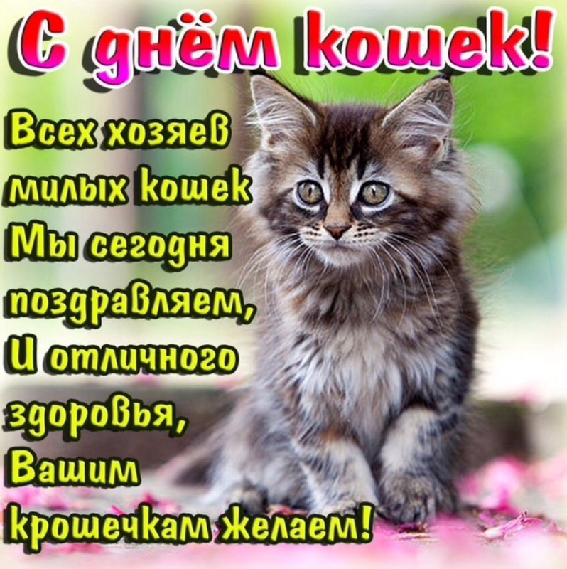 http://mtdata.ru/u7/photo9B2B/20209645112-0/original.jpg