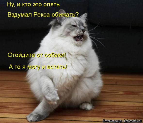 �����������(�������� � ���������)