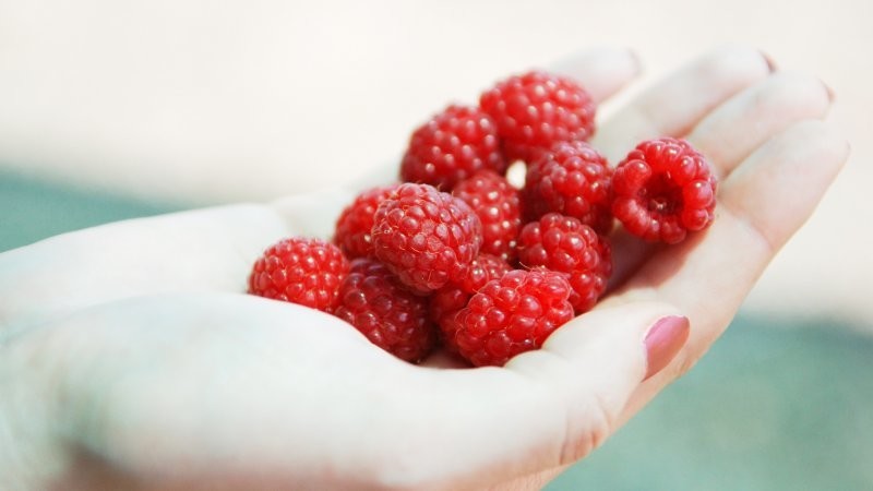 Диеты для развлечения