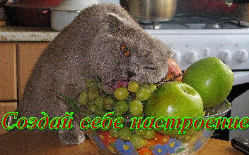 Создай себе настроение