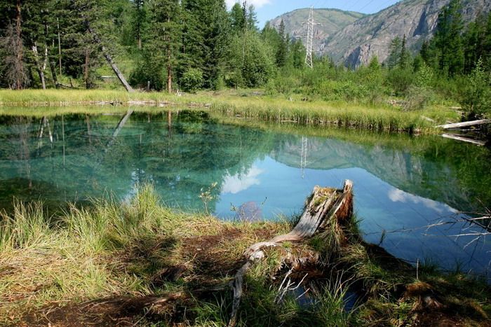 Отправляемся в путешествие: Алтай, что обязательно нужно посетить - фото 4