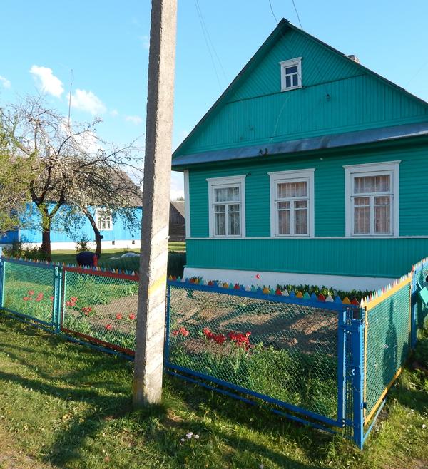 Помогите советом по обустройству цветника перед домом Помогите советом по обустройству цветника перед домом