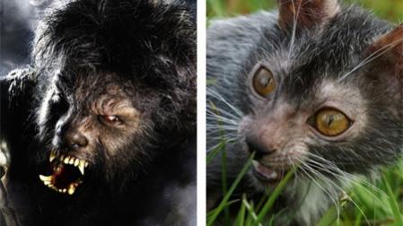 7 жутких тварей, когда-либо выведенных человеком 