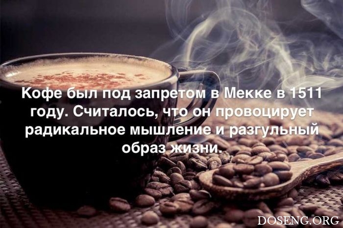 Любопытные и интересные факты обо всем на свете Любопытные и интересные факты обо всем на свете