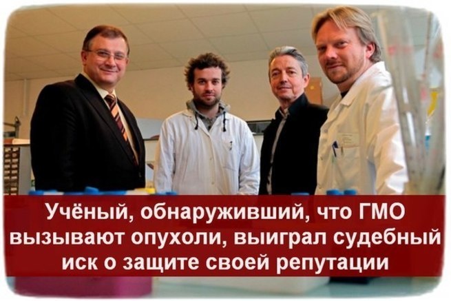 Учёный, обнаруживший, что ГМО вызывают опухоли у крыс, выиграл судебный иск о защите своей репутации Учёный, обнаруживший, что ГМО вызывают опухоли у крыс, выиграл судебный иск о защите своей репутации