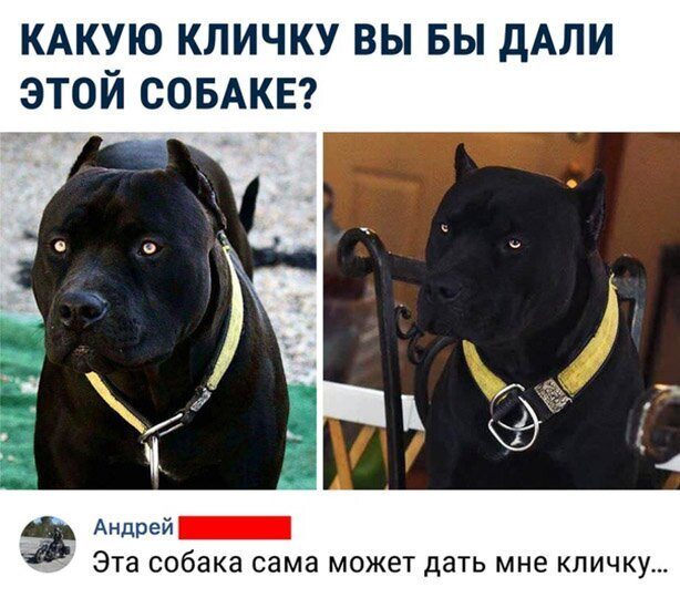 Весёлые позитивные моменты