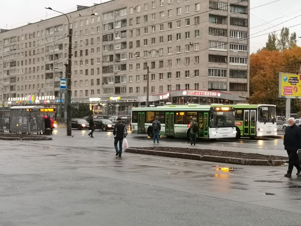 Проспект Просвещения метро