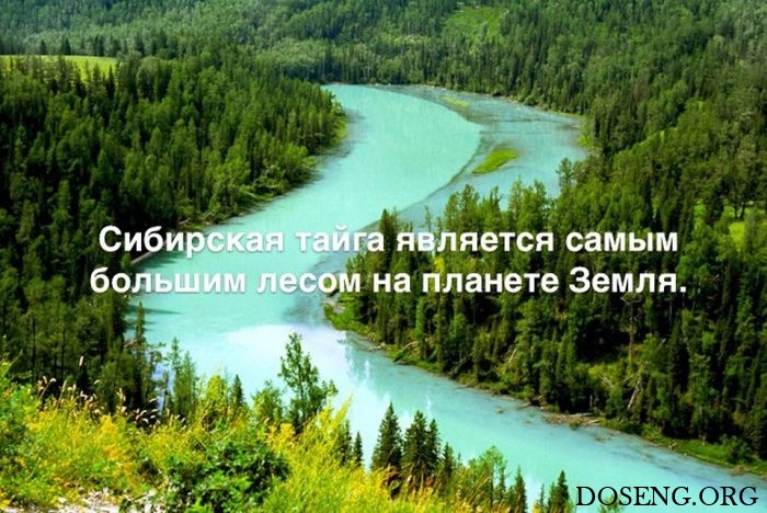 Любопытные и интересные факты обо всем на свете Любопытные и интересные факты обо всем на свете