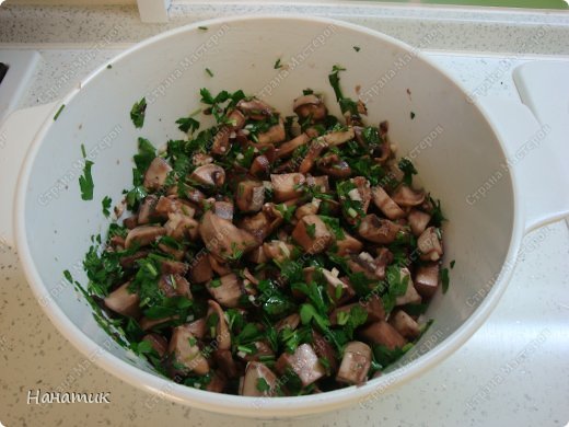  !            Lyumila  ,      <a href=