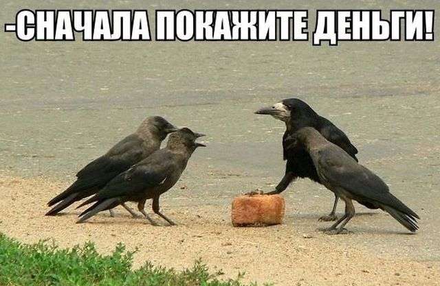 Ну не такой он уж старый... Этот Новый год Ну не такой он уж старый... Этот Новый год