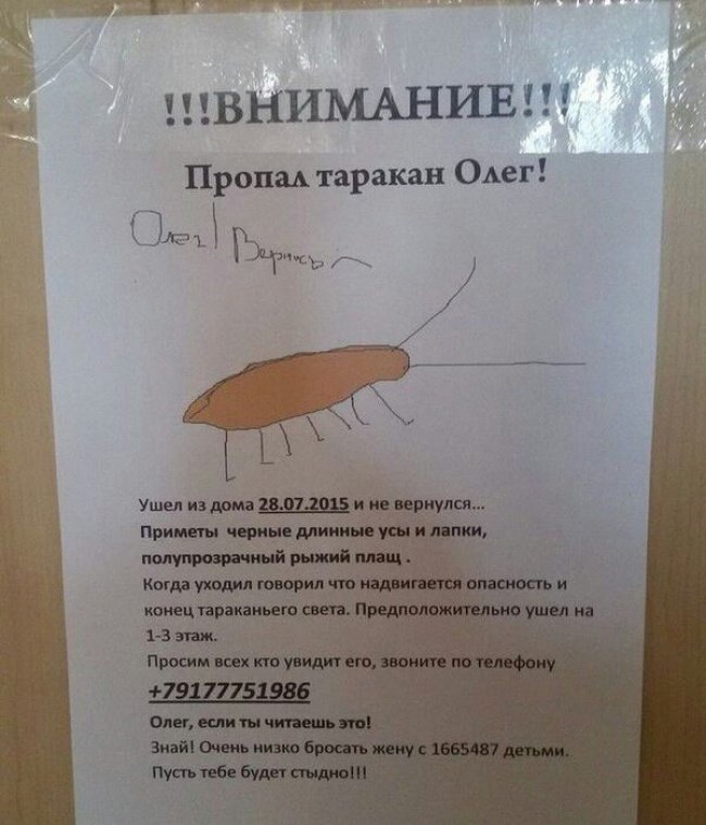 Когда сосед с чувством юмора Когда сосед с чувством юмора