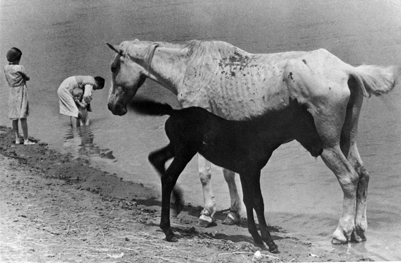 1937. Материнство. 1937. Материнство.