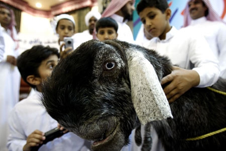 7 жутких тварей, когда-либо выведенных человеком 