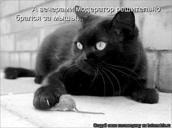 Котоматрицы (картинки с надписями)