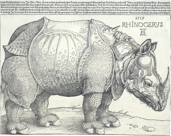 Носорог. Альбрехт Дюрер, 1515