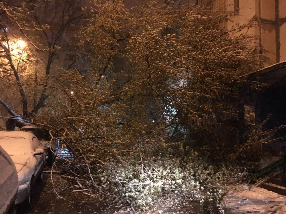 А тем временем где-то на «незалежной» и «самостийной» Украине А тем временем где-то на «незалежной» и «самостийной» Украине