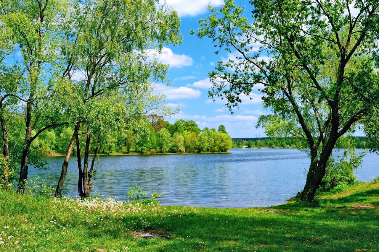 Природа России 5 Природа России 5